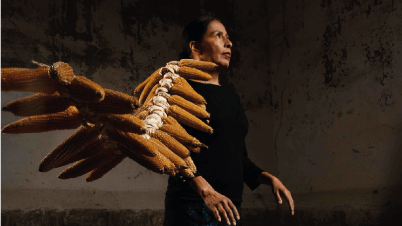 Ruta del Maíz Maya 2025: un homenaje al arte y la alta cocina mexicana