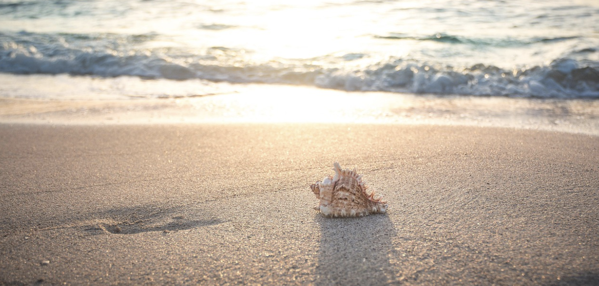Zanzíbar ofrece una escapada completa durante todo el año